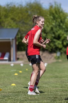 Bild 35 - F SG NieBar - IF Stjernen Flensborg : Ergebnis: 2:0